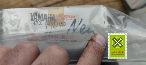 IMG_20230828_112831